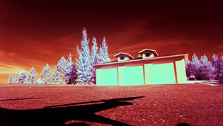 Panoramic multispectral 680 nanometer Infrared image of grass, deciduous and coniferous trees, and a building. Credit: Danno Peters
